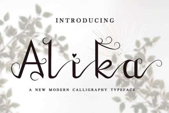 Alika Font - Featured Image