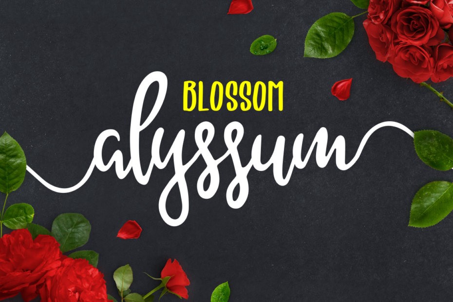 Alyssum Blossom Font - Featured Image