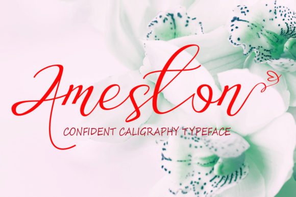 Ameston Font - Featured Image