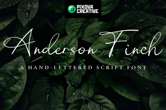 Anderson Finch Font - Featured Image