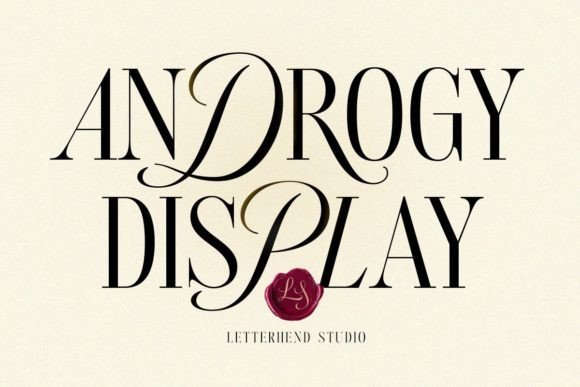 Androgy Display Font - Featured Image