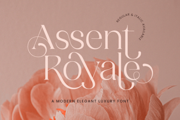 Assent Royale Font - Featured Image