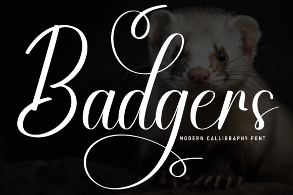 Badgers Font - Featured Image