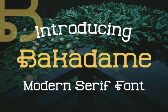 Bakadame Font - Featured Image