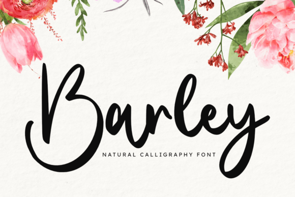 Barley Font - Featured Image