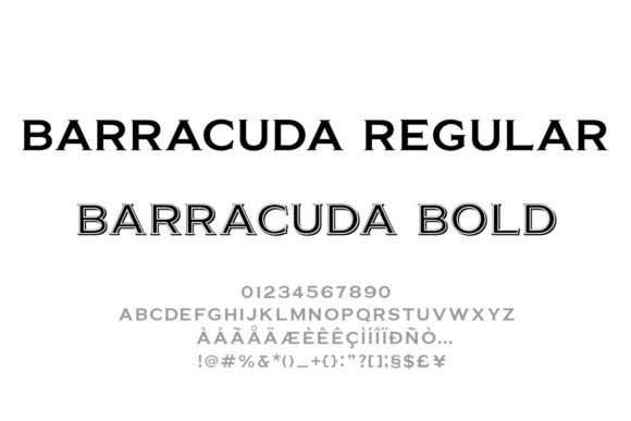 Barracuda Font - Featured Image