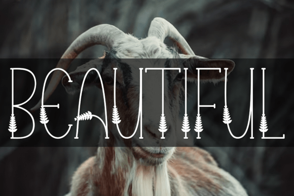 Beautiful Font - Featured Image