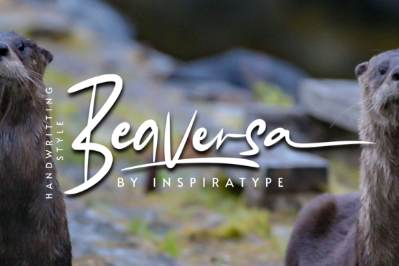 Beaversa Font - Featured Image
