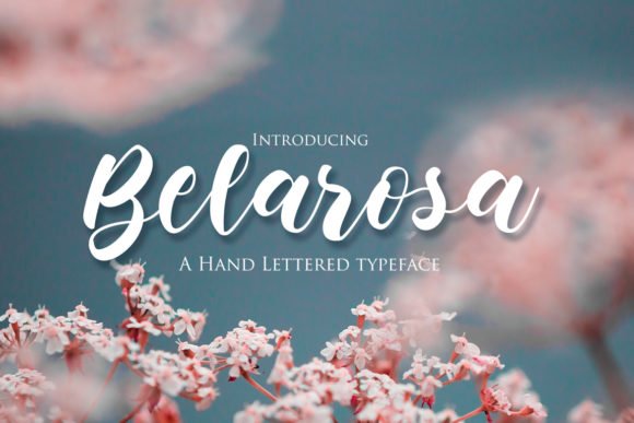 Belarosa Font - Featured Image