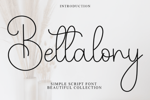 Bettalony Font - Featured Image