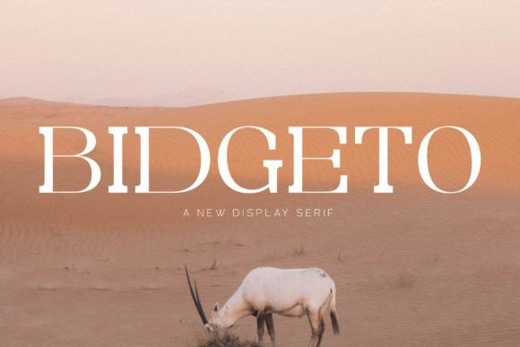 Bidgeto Font - Featured Image
