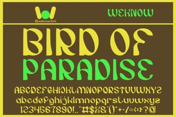 Bird of Paradise Font - Featured Image