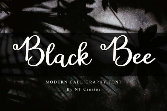 Black Bee Font - Featured Image