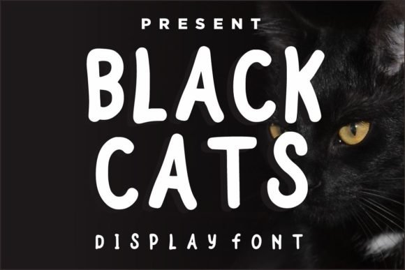 Black Cats Font - Featured Image
