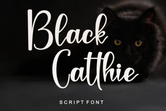 Black Catthie Font - Featured Image