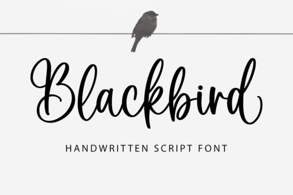 Blackbird Font - Featured Image