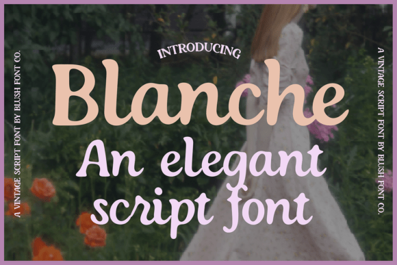Blanche Font - Featured Image