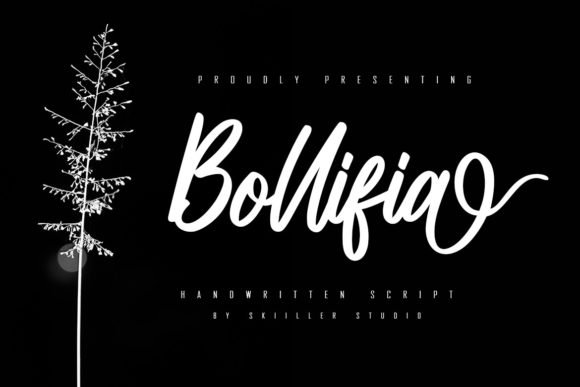 Bollifia Script Font - Featured Image