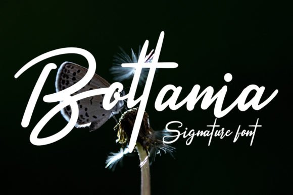 Boltania Font - Featured Image