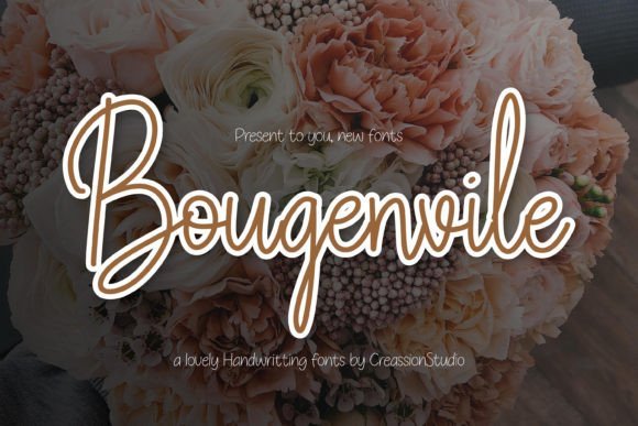 Bougenvile Font - Featured Image