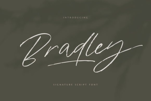 Bradley Font - Featured Image