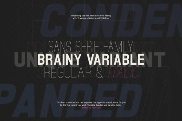 Brainy Variable Font - Featured Image