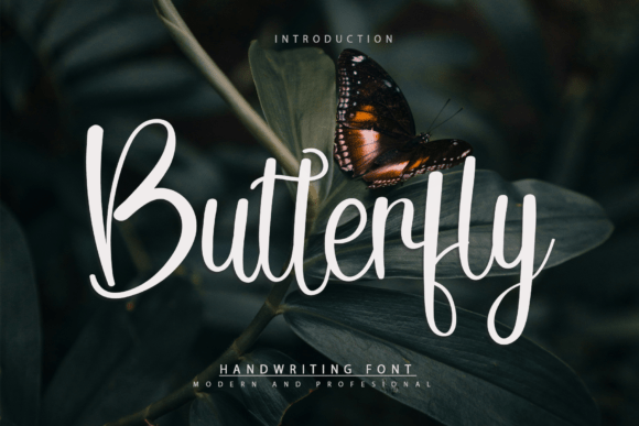 Butterfly Font - Featured Image
