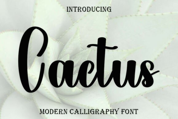 Cactus Font - Featured Image
