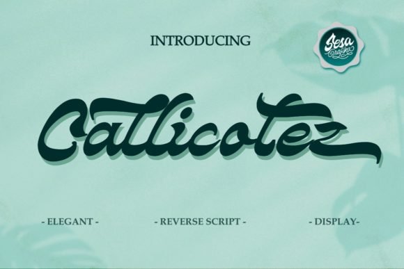 Callicotez Font - Featured Image