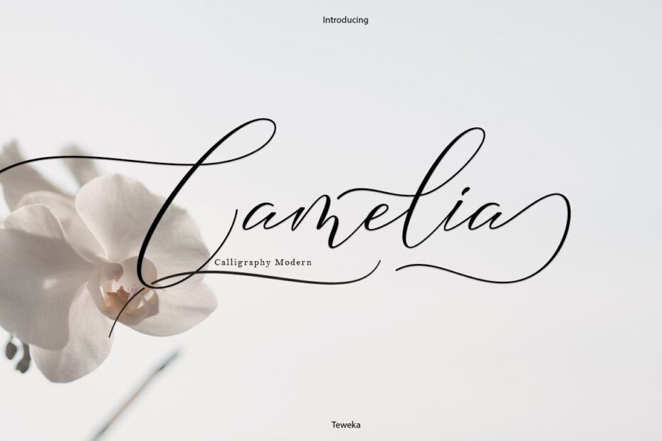 Camelia Font - Featured Image