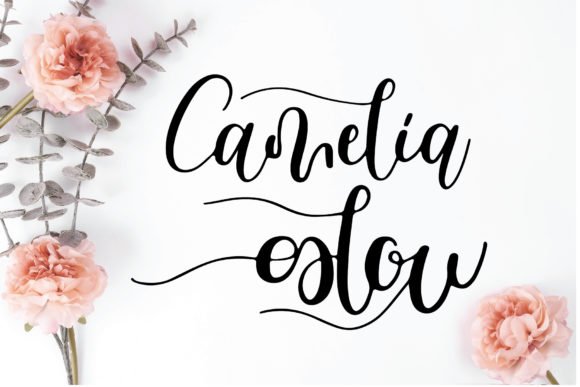 Camelia Glow Font - Featured Image