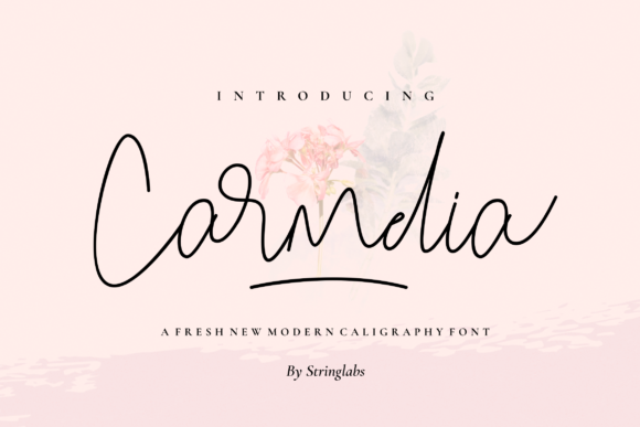 Carmelia Font - Featured Image
