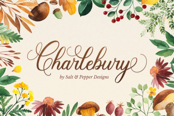 Charlbury Script Font - Featured Image