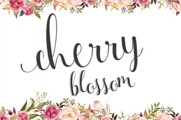 Cherry Blossom Font - Featured Image