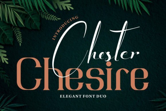Chester Chesire Font - Featured Image