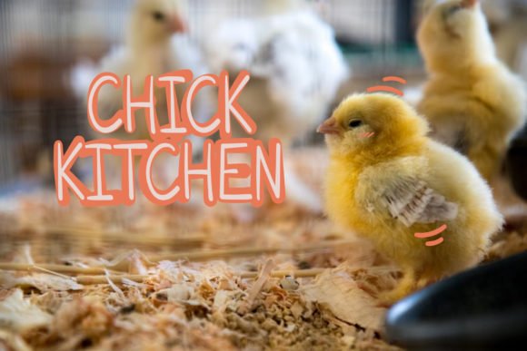 Chick Kitchen Font - Featured Image