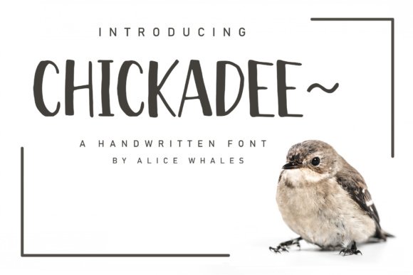 Chickadee Font - Featured Image