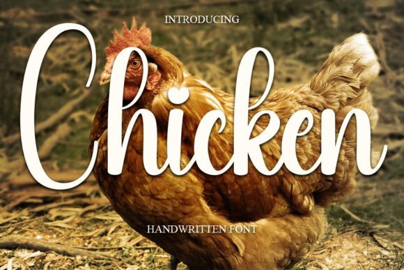 Chicken Font - Featured Image