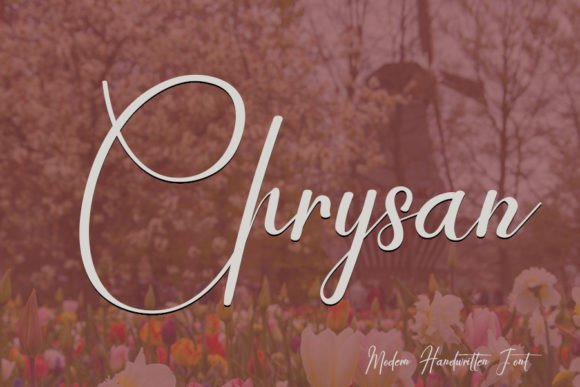 Chrysan Font - Featured Image
