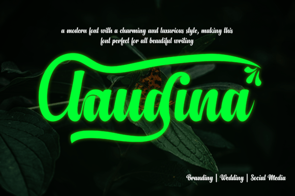 Claudina Font - Featured Image