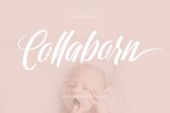Collaborn Script Font - Featured Image