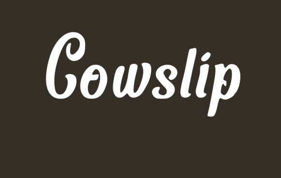 Cowslip Font - Featured Image