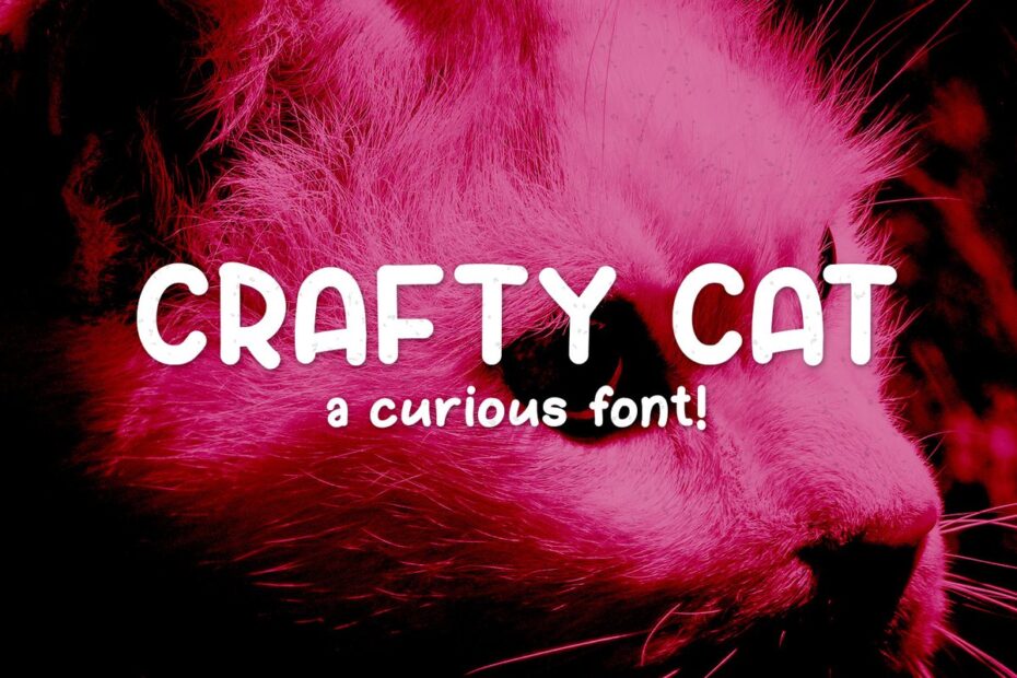 Crafty Cat Font - Featured Image