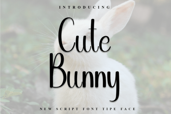 Cute Bunny Font - Featured Image