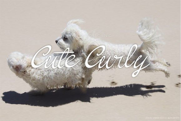 Cute Curly Font - Featured Image