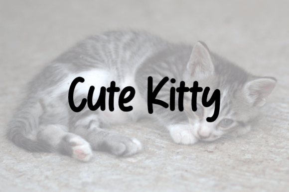 Cute Kitty Font - Featured Image