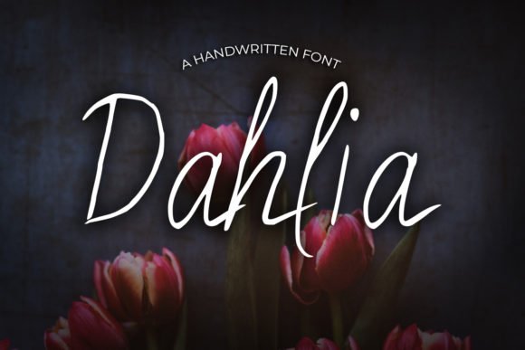 Dahlia Font - Featured Image