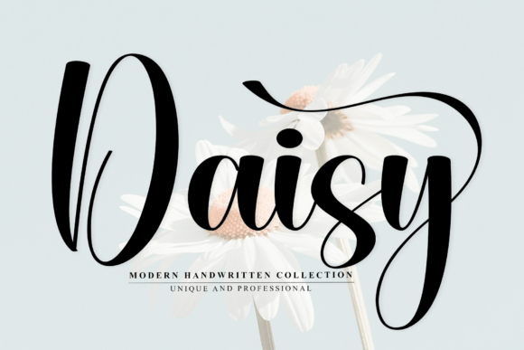 Daisy3 Font - Featured Image