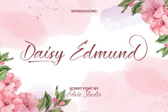 Daisy Edmund Font - Featured Image