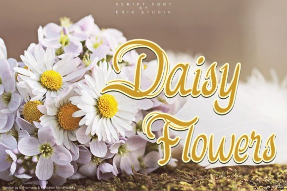 Daisy Flowers Font - Featured Image
